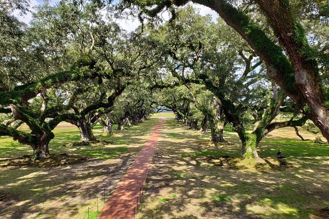 Oak Alley or Laura Plantation Tour from New Orleans - Learning the hard history, not just touring the buildings