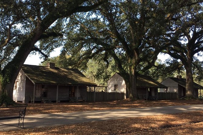 Oak Alley or Laura Plantation Tour from New Orleans - Who this tour fits best (and who should think twice)