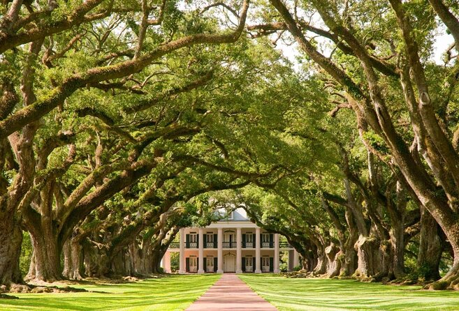 Oak Alley Plantation and Large Airboat Swamp Tour from New Orleans - Key Points You Will Actually Care About