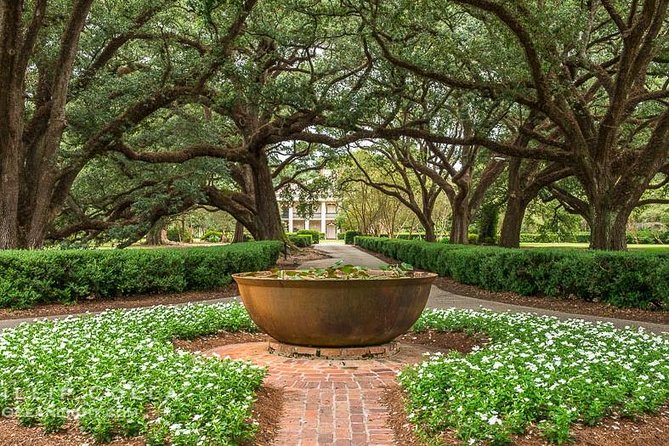 Oak Alley Plantation and Large Airboat Swamp Tour from New Orleans - Captains and Guides: Why the Right Host Changes the Whole Day