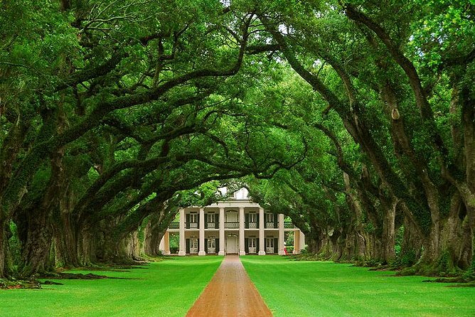 Oak Alley Plantation and Swamp Boat Tour from New Orleans - How This 8-Hour Oak Alley and Swamp Day Actually Feels