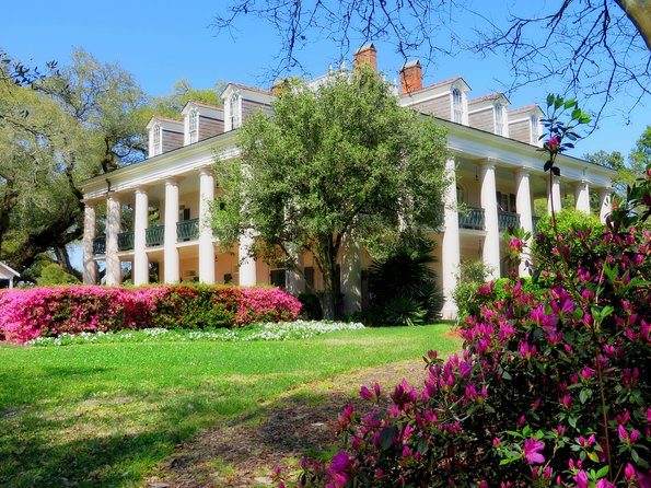 Oak Alley Plantation Tour with Transportation from New Orleans - Grounds time: when to wander, snack, and reset your brain