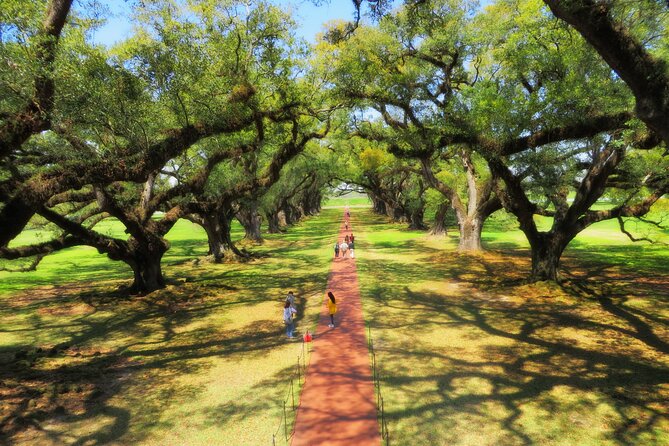 Oak Alley Plantation Tour with Transportation from New Orleans - Optional swamp tour: what you’re really paying for with the upgrade