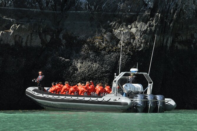 Ocean Raft Alaska - Wildlife spotting, the sightings that show up most often
