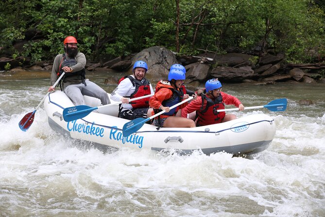 Ocoee River Middle Whitewater Rafting Trip (Most Popular Tour) - Key points before you go