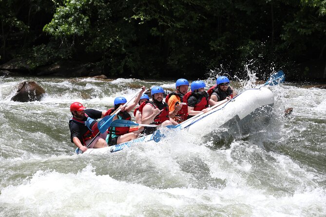 Ocoee River Middle Whitewater Rafting Trip (Most Popular Tour) - The core experience: 5 miles of class III and IV whitewater