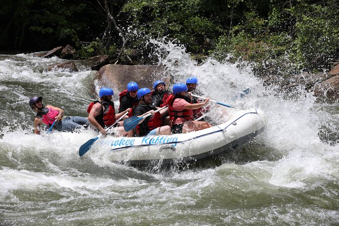 Ocoee River Middle Whitewater Rafting Trip (Most Popular Tour) - Cherokee National Forest scenery, plus the “wow” factor