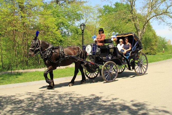 Official NYC Horse Carriage Rides in Central Park since 1979 ™ - Key Highlights to Know Before You Go