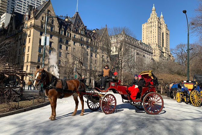 Official NYC Horse Carriage Rides in Central Park since 1979 ™ - Central Park Orientation From Wollman Rink Through the Carousel