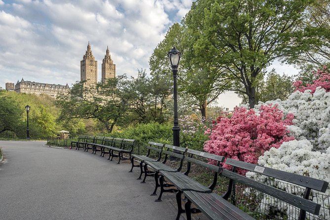 Official NYC Horse Carriage Rides in Central Park since 1979 ™ - Conservatory Water, Bethesda Terrace, and the Fountain Photo Magnet