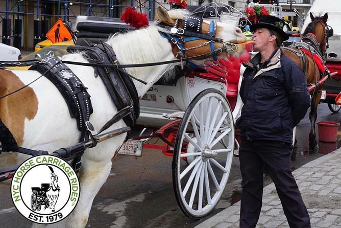 Official NYC Horse Carriage Rides in Central Park since 1979 ™ - Summer Stage, Bandshell, Boat Pond, and Loeb Boathouse Views