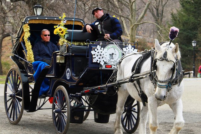 Official NYC Horse Carriage Rides in Central Park since 1979 ™ - Cherry Hill and the Bow Bridge Area for Classic Central Park Photos