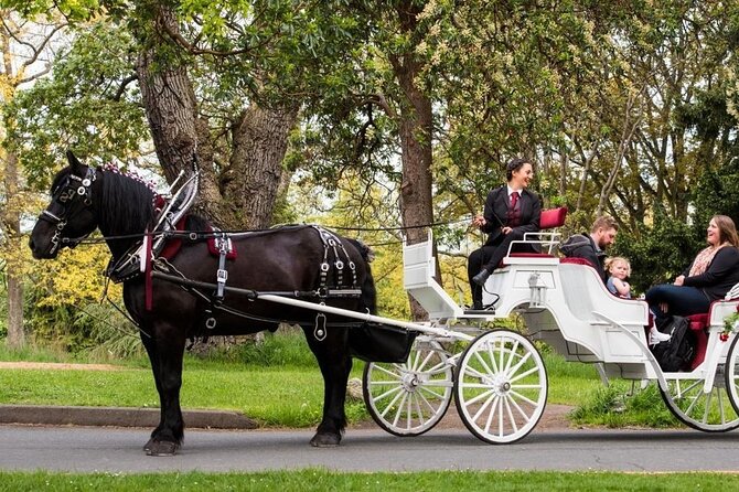 Official Private NYC Central Park Horse Carriage Ride Since 1970™ - Central Park by Carriage: How This Private Ride Works