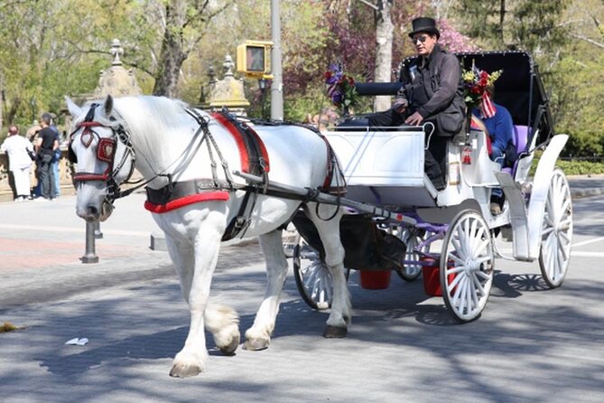 Official Private NYC Central Park Horse Carriage Ride Since 1970™ - The Route Plan: Short vs Standard Ride Stops