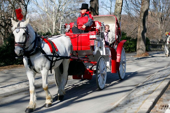 Official Private NYC Central Park Horse Carriage Ride Since 1970™ - Carousel, Chess and Checkers House, and the Dairy Area