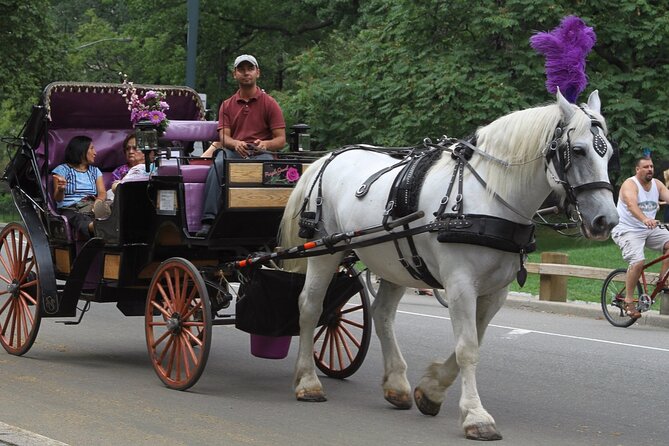 Official Private NYC Central Park Horse Carriage Ride Since 1970™ - Bethesda Terrace and the Fountain: The First Big Photo Stop