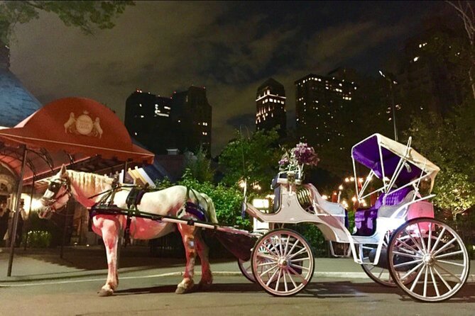 Official Private NYC Central Park Horse Carriage Ride Since 1970™ - Cherry Hill: Feeding the Horse and Second Photo Stop