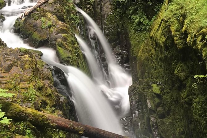 Olympic National Park Day Tour from Seattle - Key moments that make this tour work