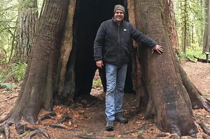 Olympic National Park Day Tour from Seattle - The Bainbridge and Puget Sound lookouts that set the tone
