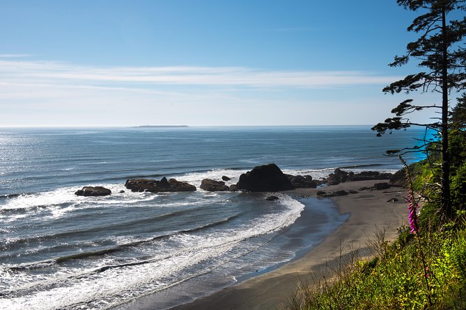 Olympic National Park Day Tour from Seattle - Jamestown SKlallam Reservation stop: fuel, snacks, and restrooms