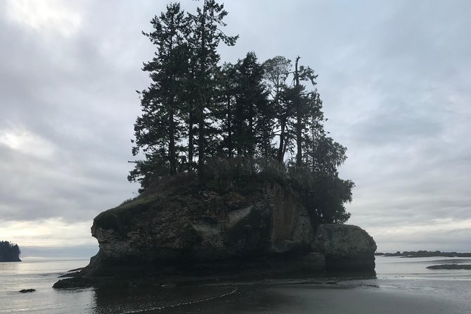Olympic National Park Day Tour from Seattle - Lake Crescent: crystal water, old-growth trails, and optional boat rentals