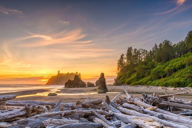 Olympic National Park Small Group Day Tour w/Scenic Ferry 2CanGo - Quick Hits Before You Go