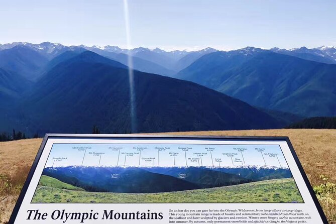 Olympic National Park Small Group Day Tour w/Scenic Ferry 2CanGo - Hurricane Ridge: The Big Viewpoint Stop