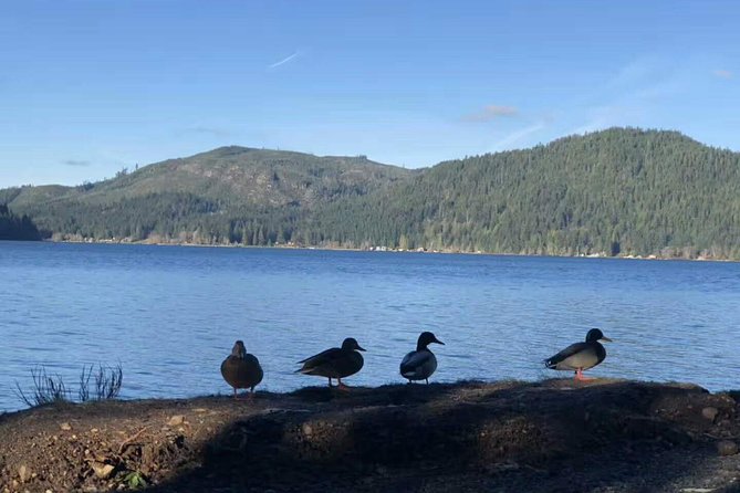 Olympic National Park Small Group Day Tour w/Scenic Ferry 2CanGo - If Hurricane Ridge Is Closed: Ediz Hook and East Beach