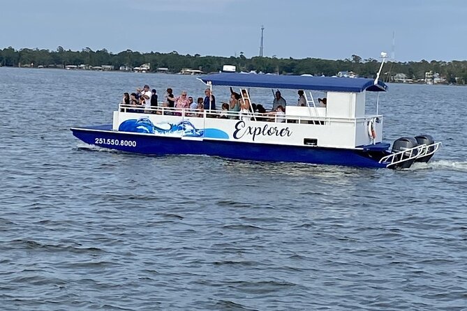 Orange Beach Dolphin Eco Boat Tour - Views from the water, plus the Orange Beach wharf bonus