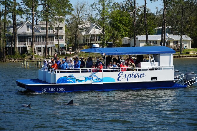 Orange Beach Dolphin Eco Boat Tour - What happens on the water around Orange Beach