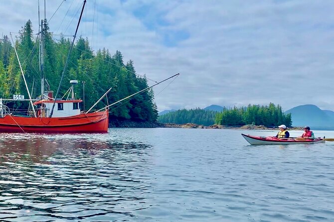 Orca Cove Sea Kayaking - The kayaking gear and training you actually use on the water