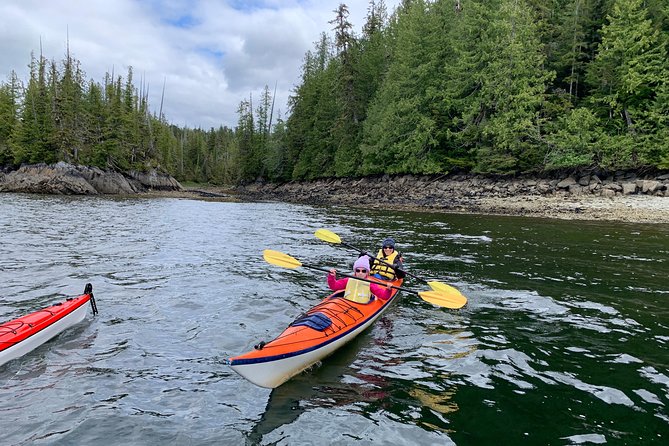 Orca Cove Sea Kayaking - Price and value: why $175 feels fair in Ketchikan