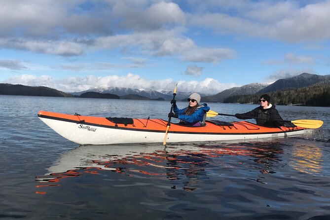 Orca Cove Sea Kayaking - Paddling Orca Cove: the secluded coves, rainforest islands, and wildlife odds