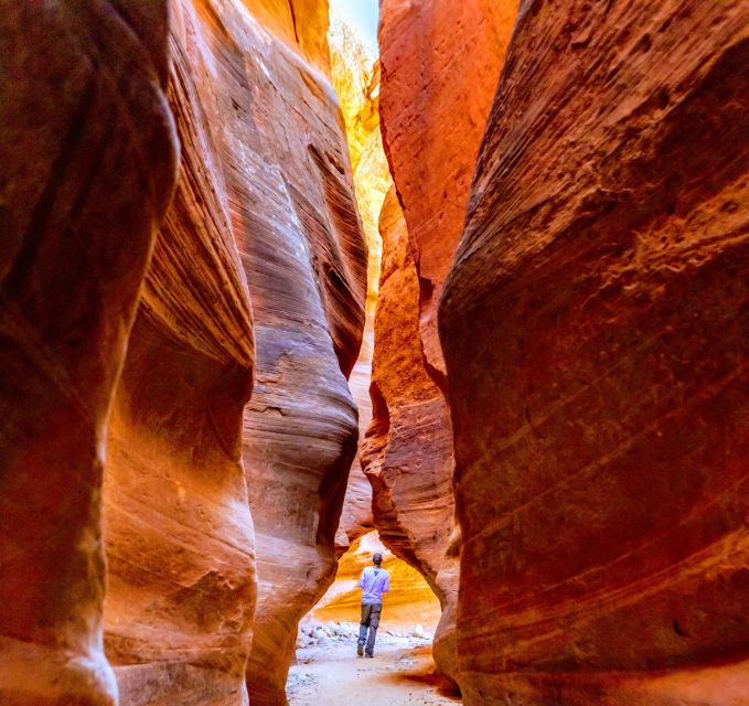 Orderville: East Zion Park White Mountain Horseback Tour - Arriving at the horse corrals near Orderville