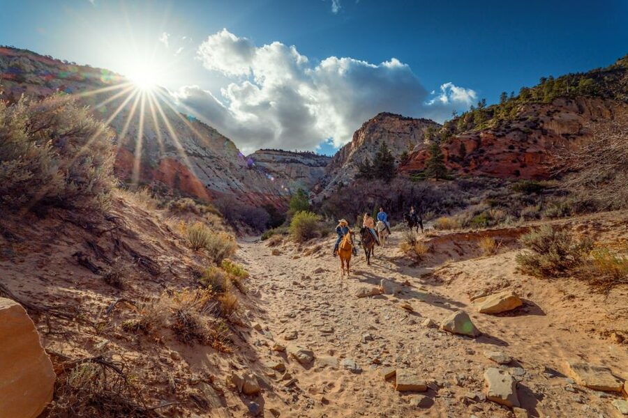 Orderville: East Zion Park White Mountain Horseback Tour - The 1-hour ride rhythm: trail out, canyon walk, ride back