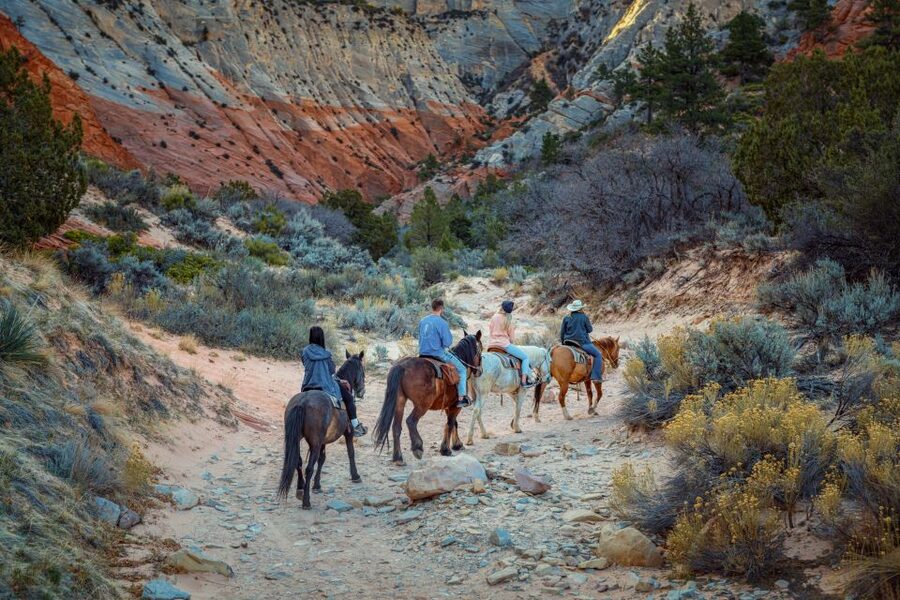 Orderville: East Zion Park White Mountain Horseback Tour - Price and value at about $67 per person