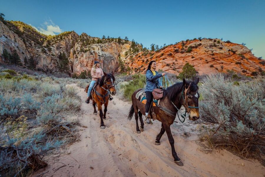 Orderville: East Zion Park White Mountain Horseback Tour - From stables to saddle: your mini riding clinic