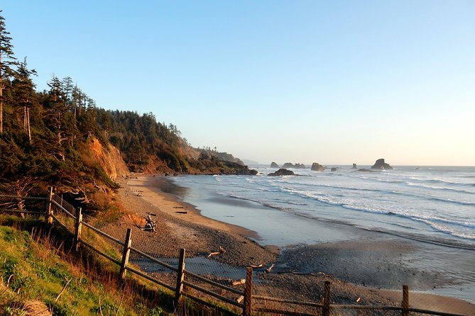 Oregon Coast Tour from Portland - How the Van Ride Feels, and Why the Small Group Pace Works
