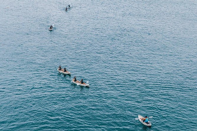 Original La Jolla Sea Cave Kayak Tour for Two - Workout Level and Timing: 90 Minutes You Can Handle