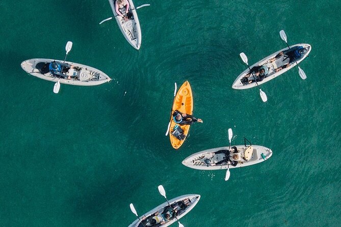 Original La Jolla Sea Cave Kayak Tour for Two - Launching Into the La Jolla Ecological Reserve