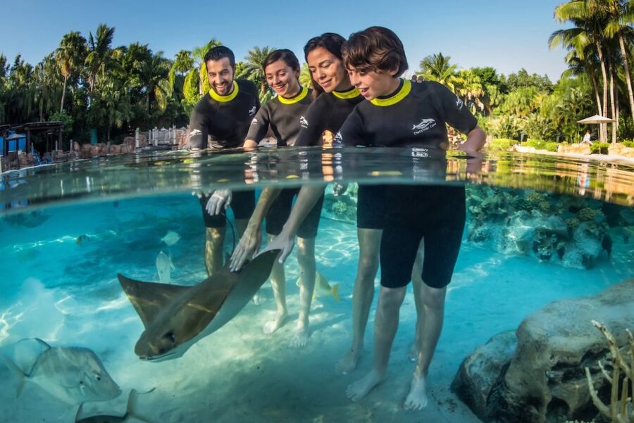Orlando: Discovery Cove Admission Ticket & Additional Parks - Key Things That Make This Ticket Worth It