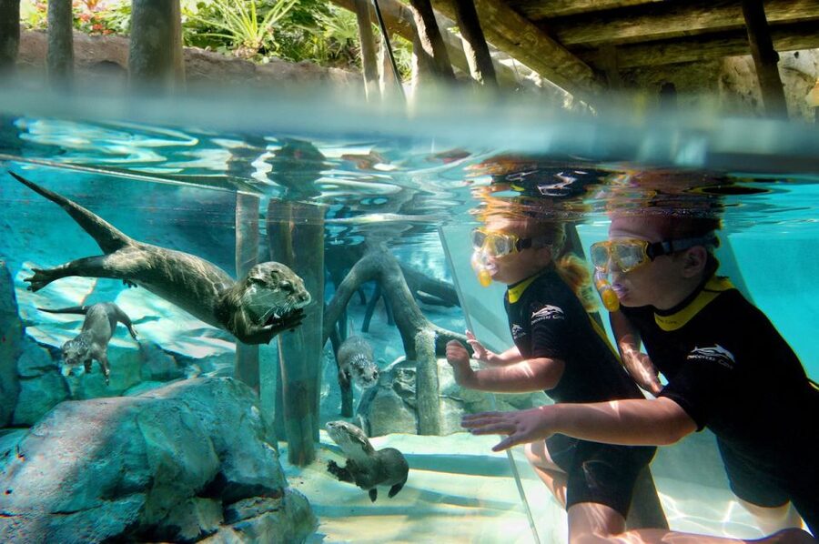Orlando: Discovery Cove Admission Ticket & Additional Parks - Discovery Cove Day Resort: A Calmer Orlando-Style Theme Park
