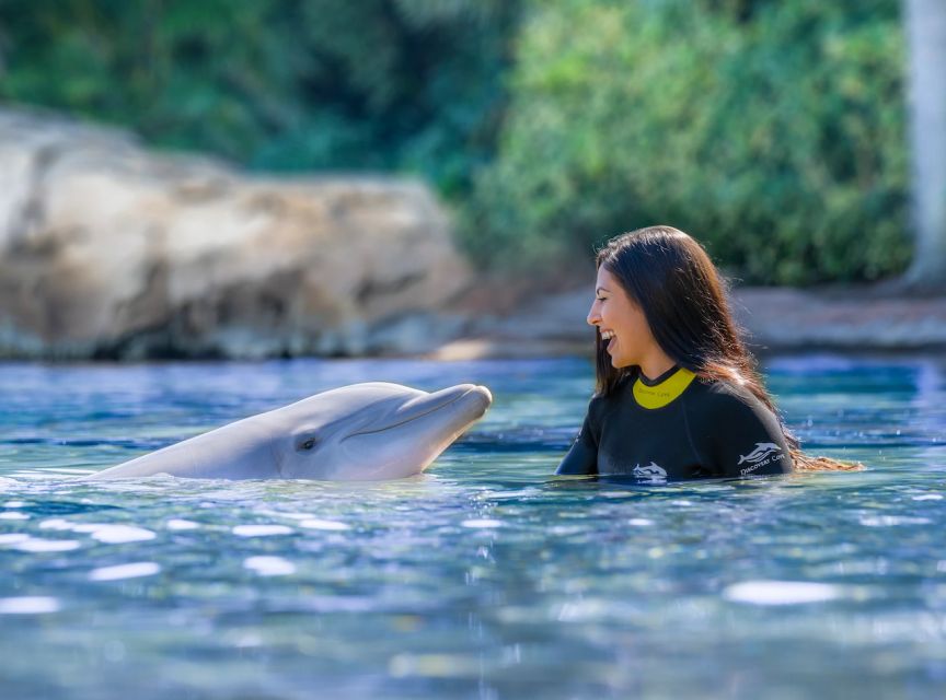 Orlando: Discovery Cove Admission Ticket & Additional Parks - How the Day Really Flows: Check-In, Timing, and Your Best Route