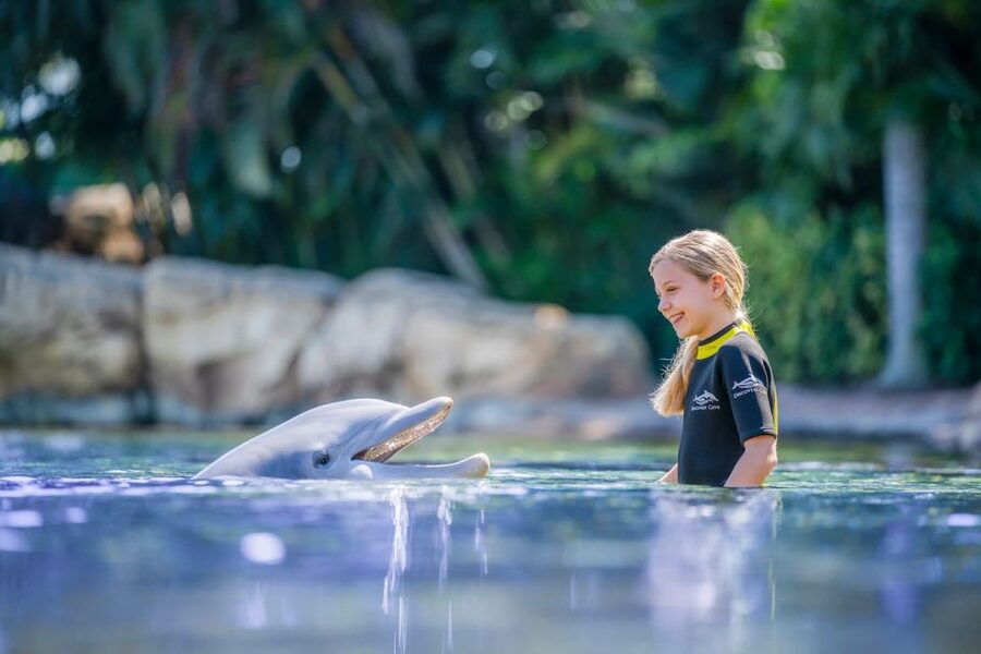 Orlando: Discovery Cove Admission Ticket & Additional Parks - Meals and Drinks: Better Than You Expect for a Water Day