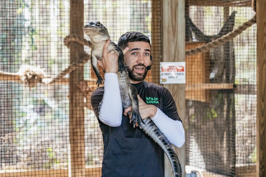 Orlando: Drive-Thru Safari Park at Wild Florida - Animals You’ll Likely See, and How to Spot Them