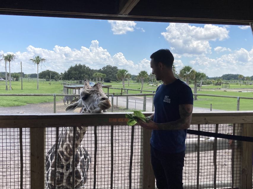 Orlando: Drive-Thru Safari Park at Wild Florida - Price and Value: Is $35 Worth It?