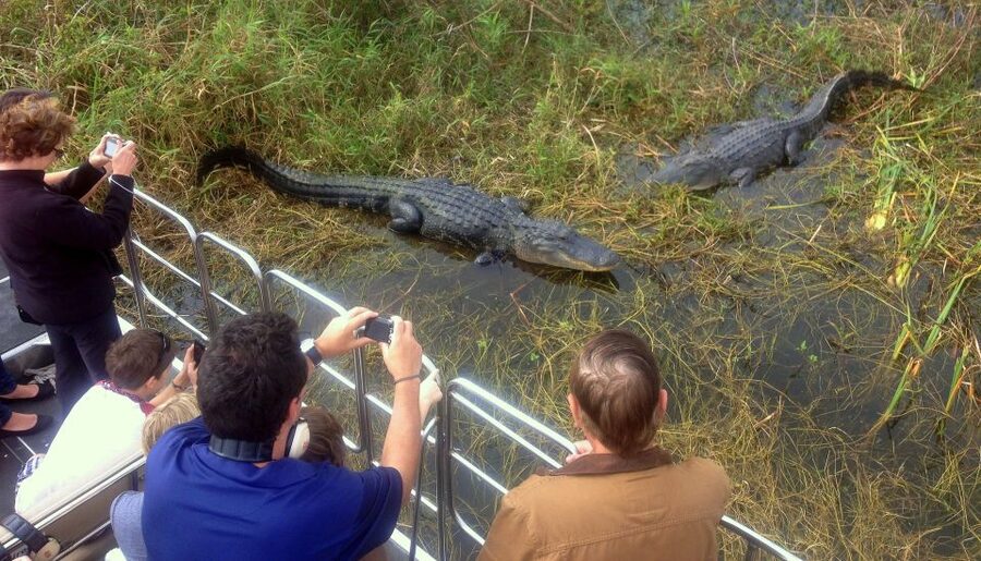 Orlando: Everglades Airboat Ride and Wildlife Park Ticket - Getting there from Orlando: the logistics you should not ignore