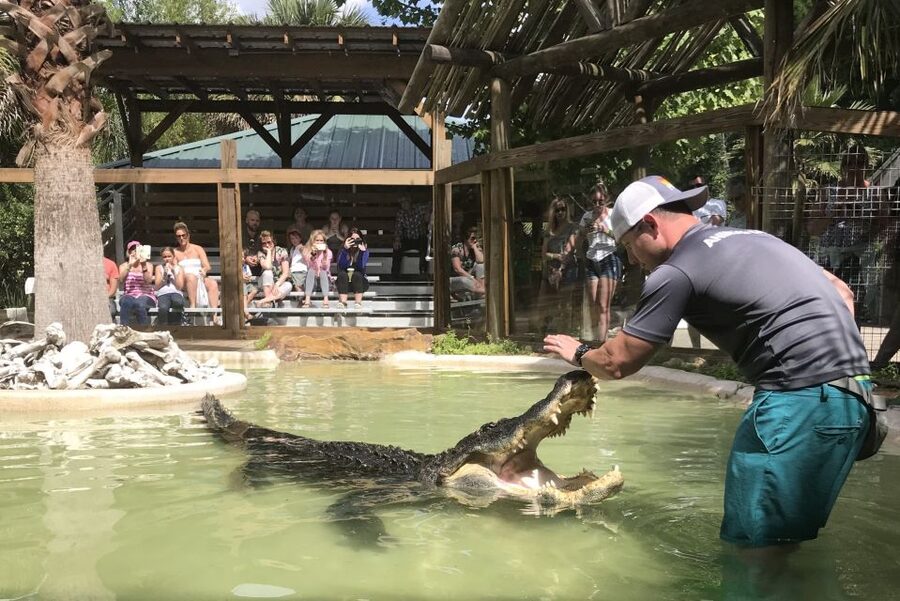 Orlando: Everglades Airboat Ride and Wildlife Park Ticket - Safety, noise, and staying dry: how the boat experience is managed