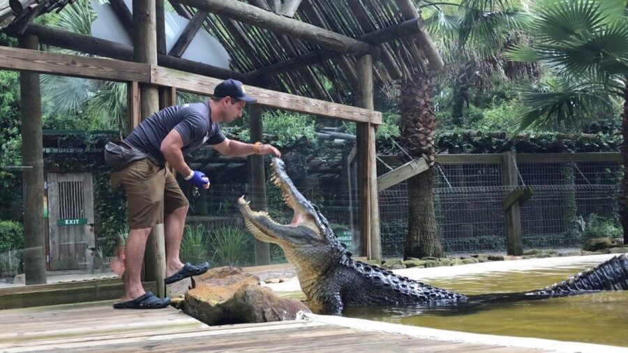 Orlando: Everglades Airboat Ride and Wildlife Park Ticket - Who this ticket is best for, and who may want to adjust expectations