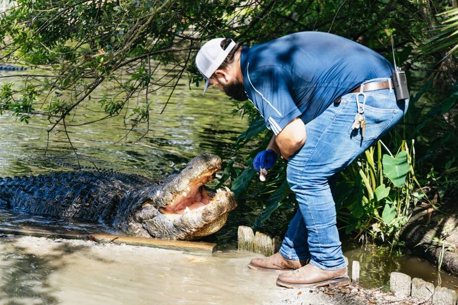 Orlando: Gatorland Skip-the-Line Ticket - Key things to know before you go